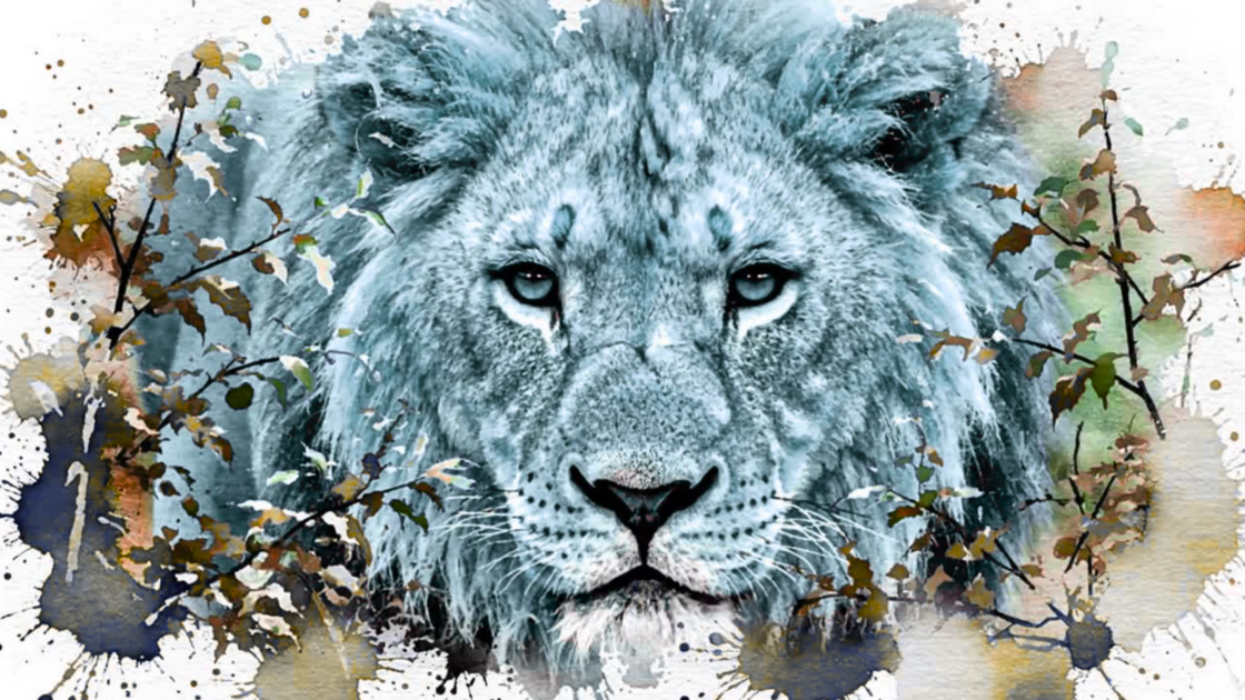 Watercolour image of a male lion peering through the bushes as it watches its prey, ready to pounce.